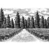 vineyards-art-stock