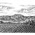 vineyard-final-art